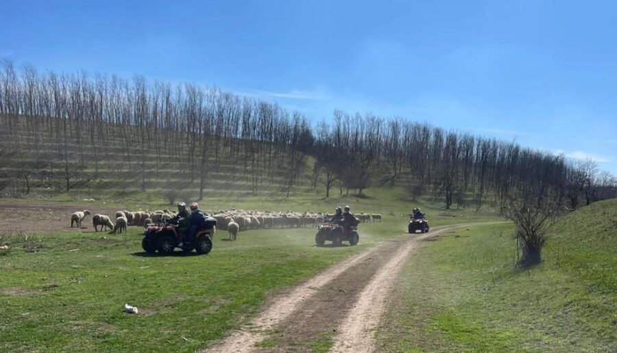 From Bucharest: Forest and Hills ATV Quad Bike Tour - Through forests, fields, and river country