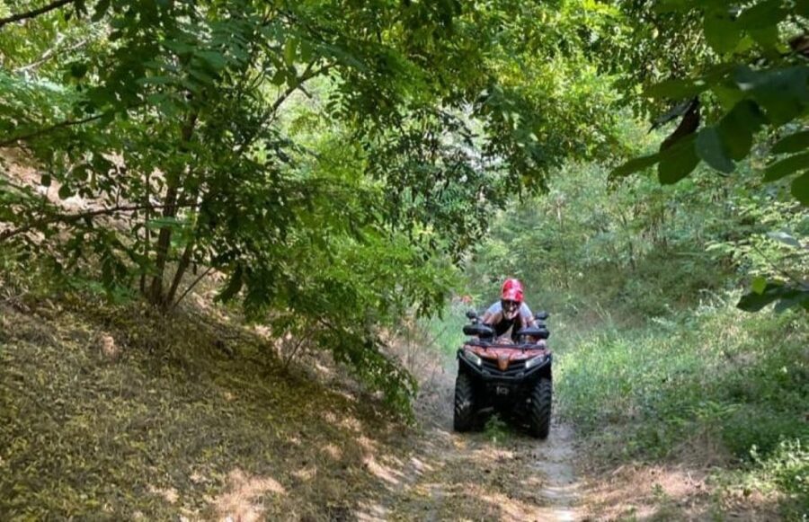 From Bucharest: Forest and Hills ATV Quad Bike Tour - Cold-weather riding is possible, but not gentle