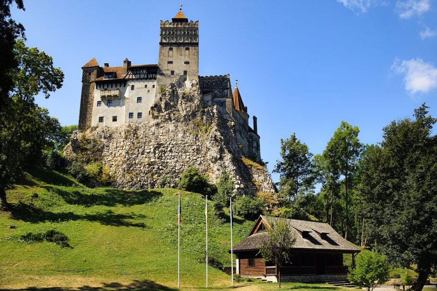 From Bucharest: Libearty Bear Sanctuary and Dracula's Castle - Why the bear sanctuary is the heart of the day