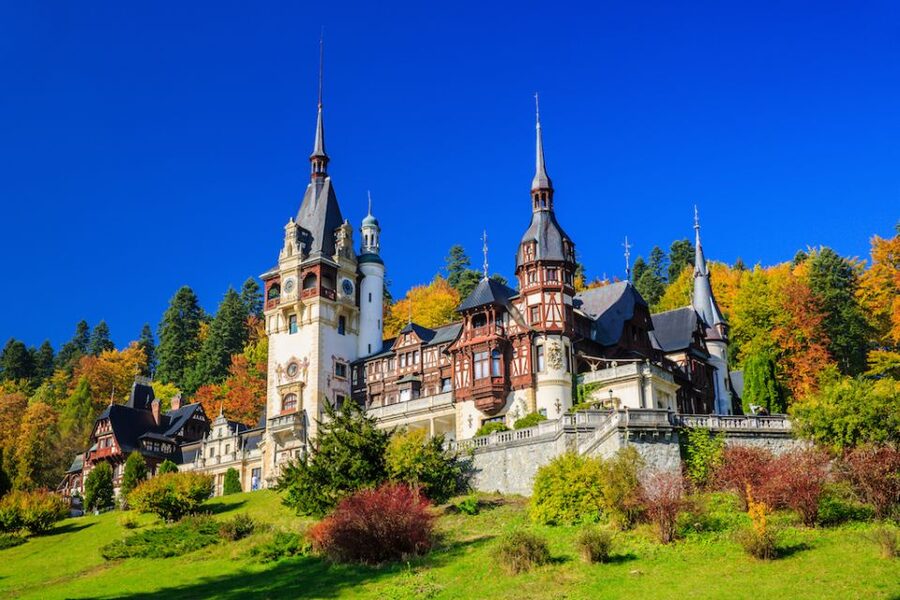 From Bucharest: Peleș and Bran Castles Private Tour - Key points to know before booking