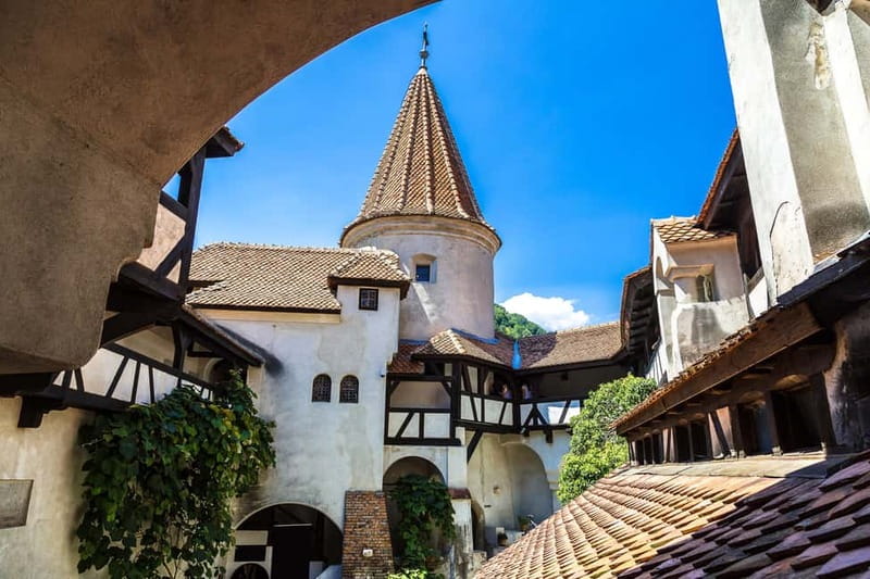From Bucharest: Peles Castle, Brasov & Bran Castle Day Trip - Who should book this day trip?