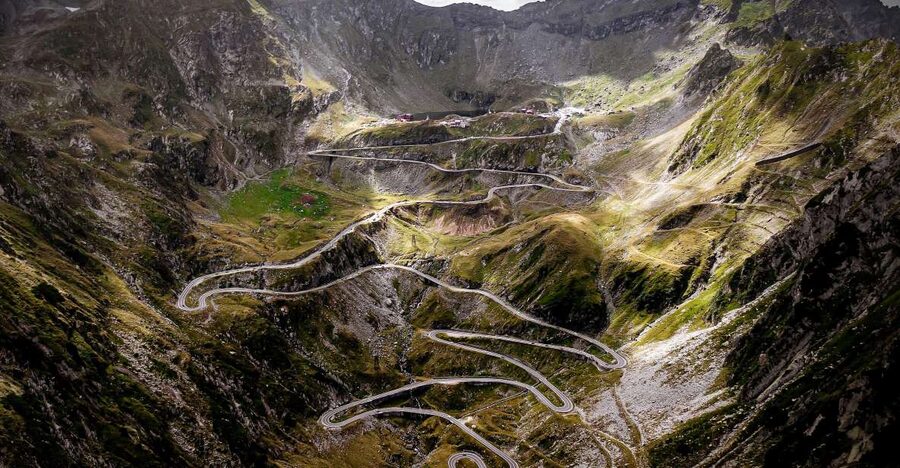From Bucharest: Private Transfagarasan Highway Day Tour - Wildlife sightings and how the guides handle them