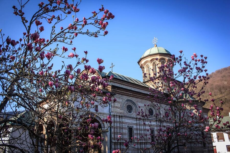 From Bucharest: Unravel Medieval Transylvania in 3-Day Tour - Should you book it?