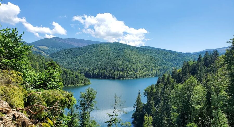 From Cluj: Mountain Bike around Lake Dragan - Why Lake Dragan works so well by mountain bike