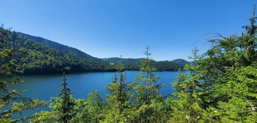 From Cluj: Mountain Bike around Lake Dragan - Is $163 a fair price?