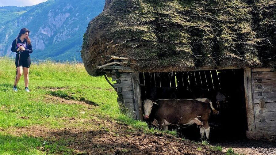 From Cluj-Napoca: Apuseni Mountains Hiking Guided Day Tour - Key points to know before you book