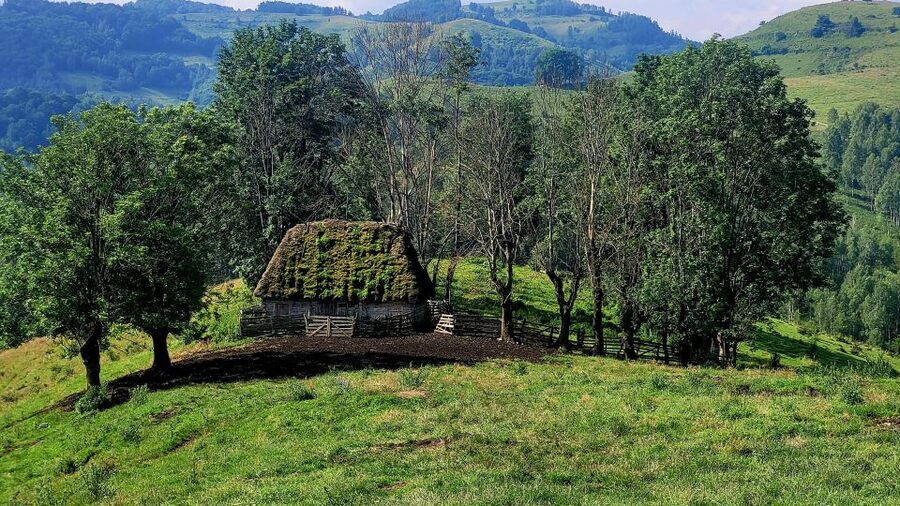 From Cluj-Napoca: Apuseni Mountains Hiking Guided Day Tour - Practical packing advice for the 8-hour day