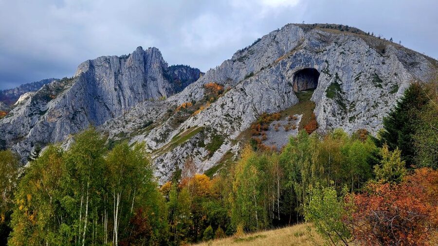 From Cluj-Napoca: Apuseni Mountains Hiking Guided Day Tour - From beech forest to the white limestone cliffs