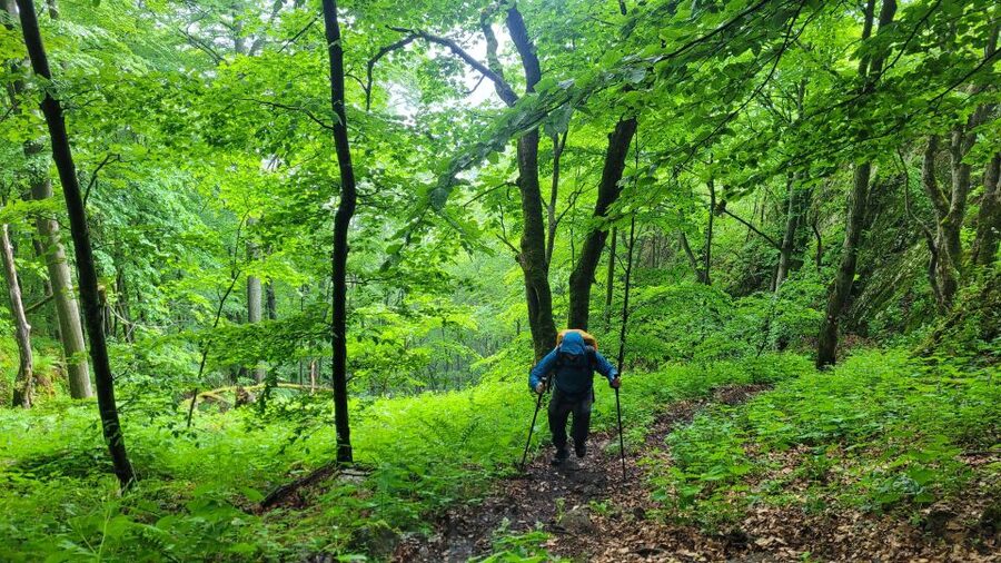 From Cluj-Napoca: Apuseni Mountains Hiking Guided Day Tour - Reaching 1,384-meter Scarita Peak