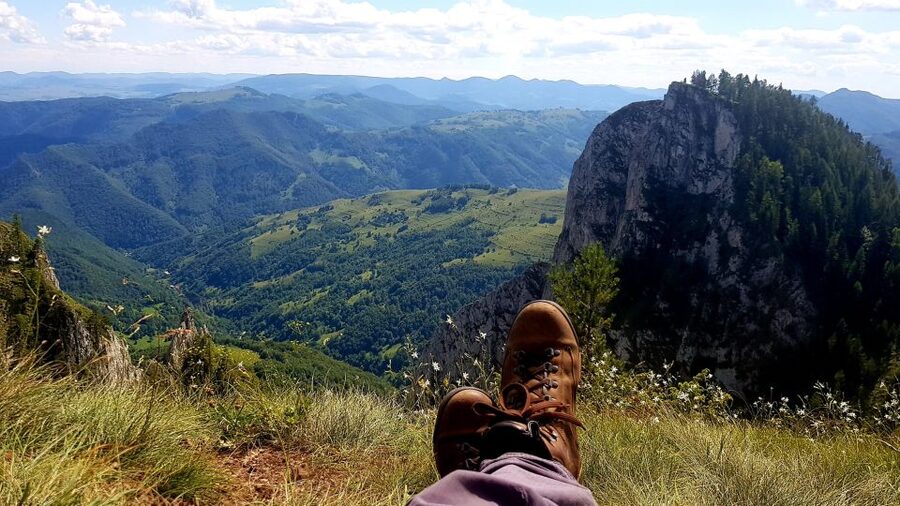 From Cluj-Napoca: Apuseni Mountains Hiking Guided Day Tour - Plants, fungi, butterflies, and the golden eagle
