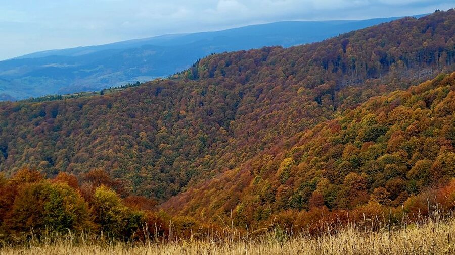 From Cluj-Napoca: Apuseni Mountains Hiking Guided Day Tour - What the $115 price covers