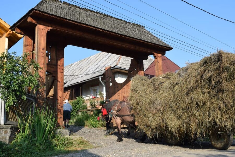 From Cluj-Napoca: Maramures Day Tour - Is $189 a Fair Price?