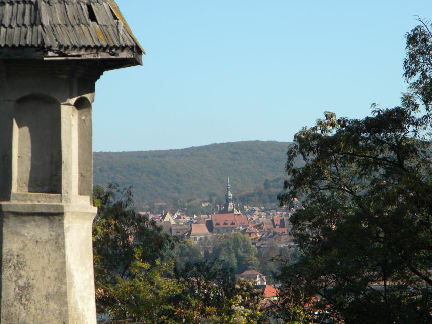 From Cluj: Sighișoara and Church of Biertan Guided Tour - One hour to explore Sighișoara on your own