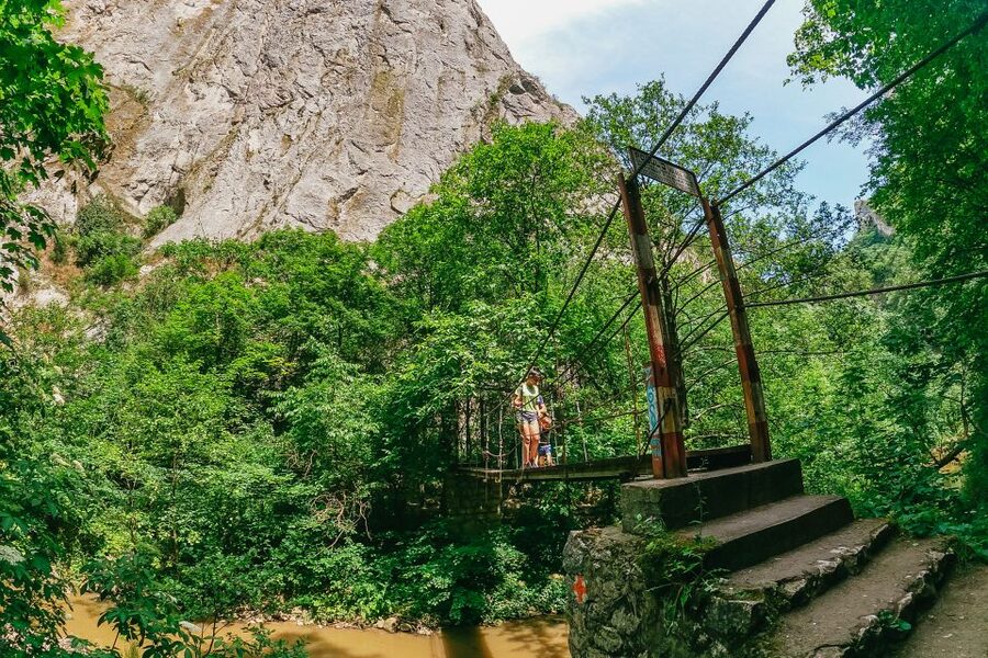 From Cluj: Turda Salt Mine, Gorge, and Remetea Full-Day Trip - Key points at a glance