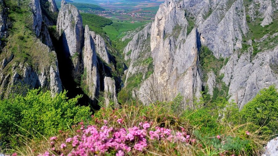 From Cluj: Turda Salt Mine, Gorge, and Remetea Full-Day Trip - What the $131 price really buys