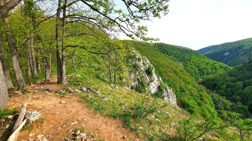 From Oradea: Gorges of Crisul Repede River - What the Gorge Walk Feels Like