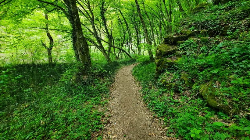 From Oradea: Gorges of Crisul Repede River - Is $69 a Fair Price?