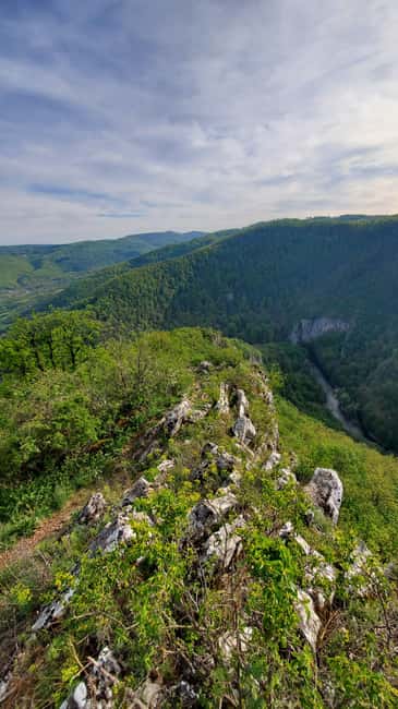 From Oradea: Gorges of Crisul Repede River - Who Should Book This Walk