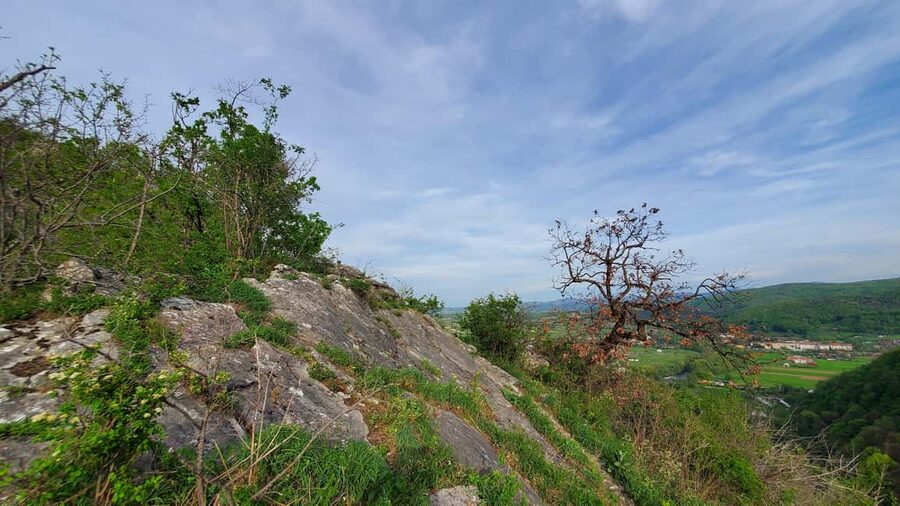 From Oradea: Gorges of Crisul Repede River - My Verdict on the Crisul Repede Gorges