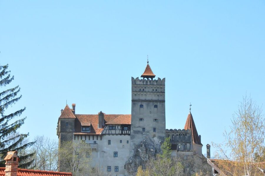 From Sibiu: Day Tour to Brasov and Dracula's Castle - Key points before you book