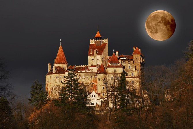 Golden Circle of Transylvania - Day three: rescued bears, Bran Castle, and volcanic ground