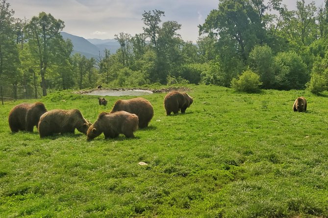 Golden Circle of Transylvania - Should you book the Golden Circle of Transylvania?