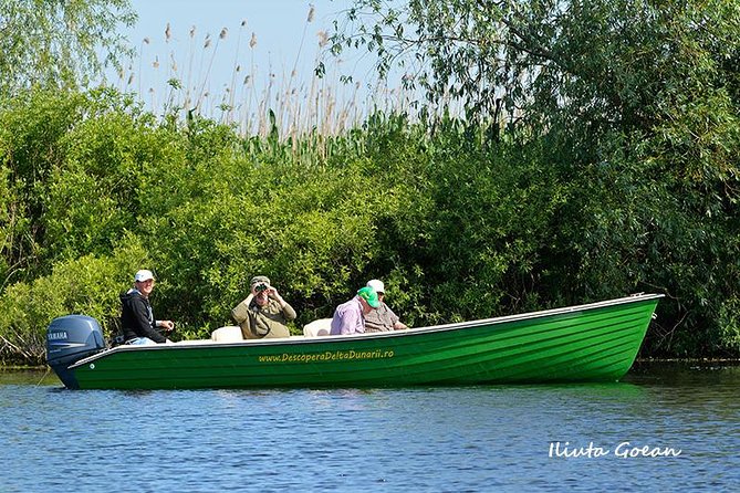 Guided Birdwatching day trip to the Danube Delta - private program - Key points for your Danube Delta day