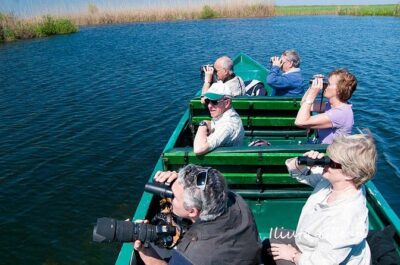 Guided Birdwatching day trip to the Danube Delta – private program