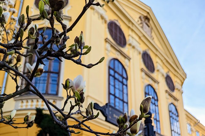 Half-Day Private Food and Wine Walking Tour Oradea Romania - First course at Restaurant Oradea Taverna