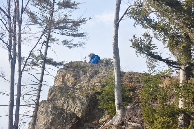 Hike in the Wild Private Photo Tour - Why this hike feels different from a standard Brasov day trip