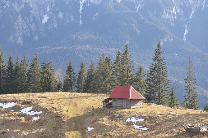 Hike in the Wild Private Photo Tour - The 40-minute ride from Brasov to Zarnesti