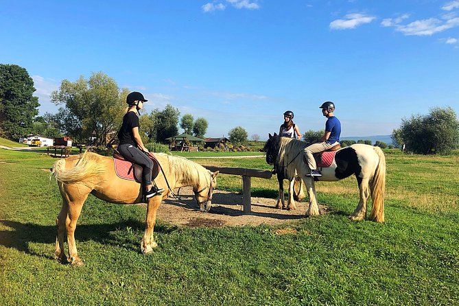Horseback Riding Tour In Brasov - Ride Through Fields, Forests & Hills - Key points to know before you book