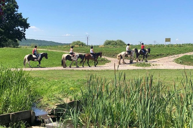 Horseback Riding Tour In Brasov - Ride Through Fields, Forests & Hills - Leaving Brasov for the Transylvanian countryside