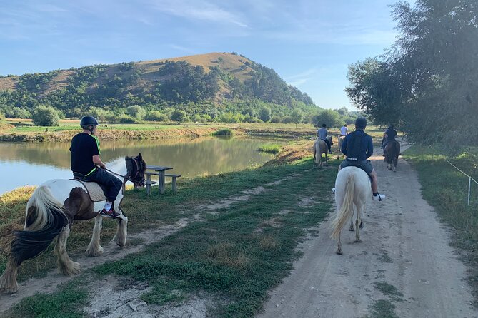 Horseback Riding Tour In Brasov - Ride Through Fields, Forests & Hills - One hour through fields, hills, and forest paths