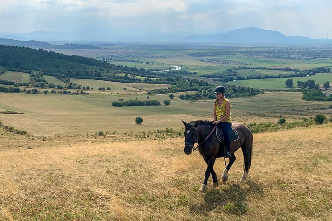 Horseback Riding Tour In Brasov - Ride Through Fields, Forests & Hills - Meeting the ranch horses after the ride