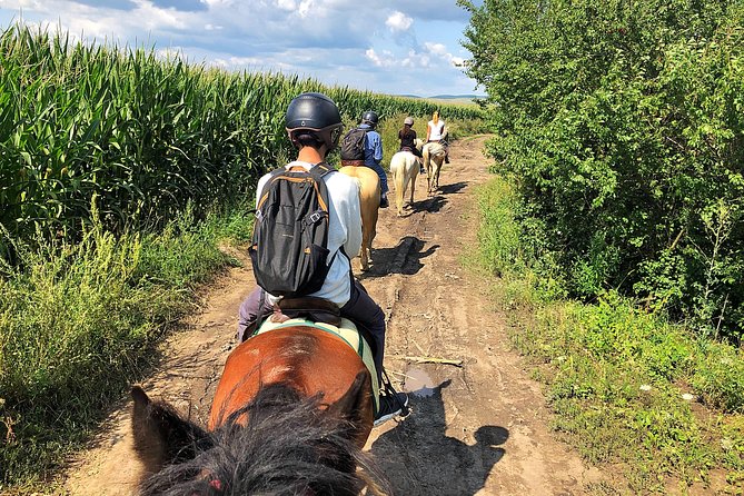 Horseback Riding Tour In Brasov - Ride Through Fields, Forests & Hills - Food, timing, and the real value of $144.57