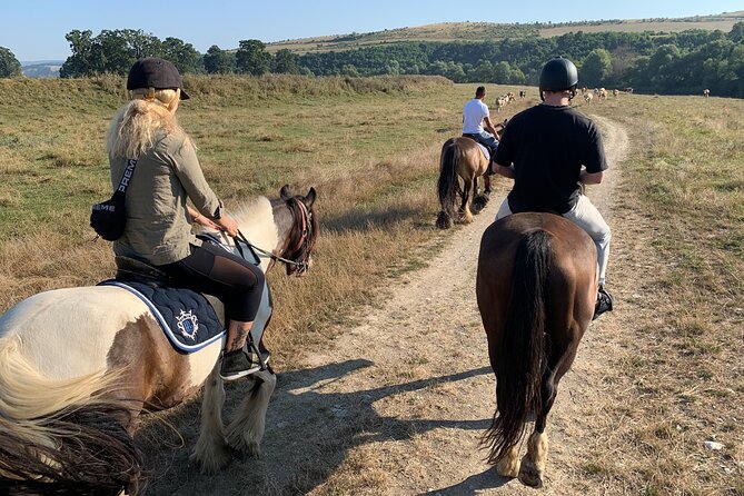 Horseback Riding Tour In Brasov - Ride Through Fields, Forests & Hills - What the strongest praise tells you