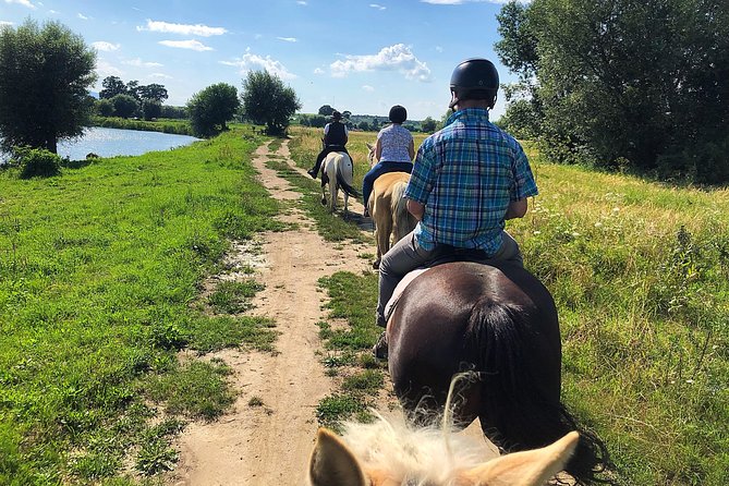 Horseback Riding Tour In Brasov - Ride Through Fields, Forests & Hills - Choosing the right horse for your riding level