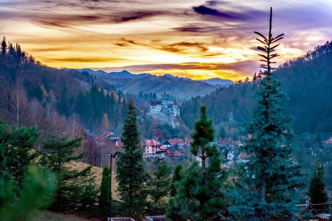 Legends&Wildlife Awaits: Dracula's Castle & Bear Sanctuary - Through the Carpathians to Bran Castle