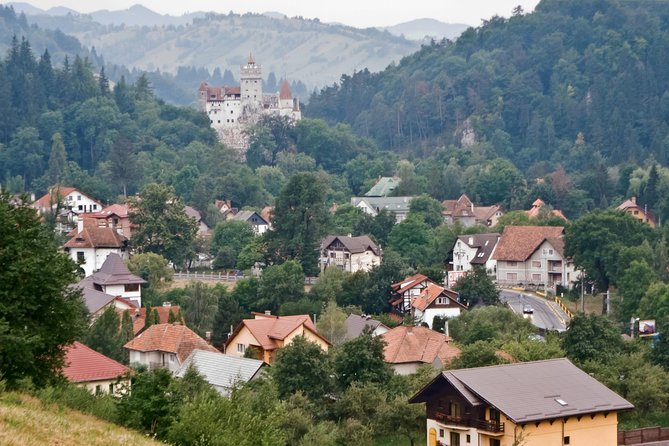 Libearty Bear Sanctuary and Dracula's Castle - Day Tour from Bucharest - What the small group changes