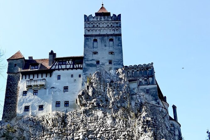 Libearty Bear Sanctuary and Dracula's Castle - Day Tour from Bucharest - Who will enjoy this Bucharest day trip