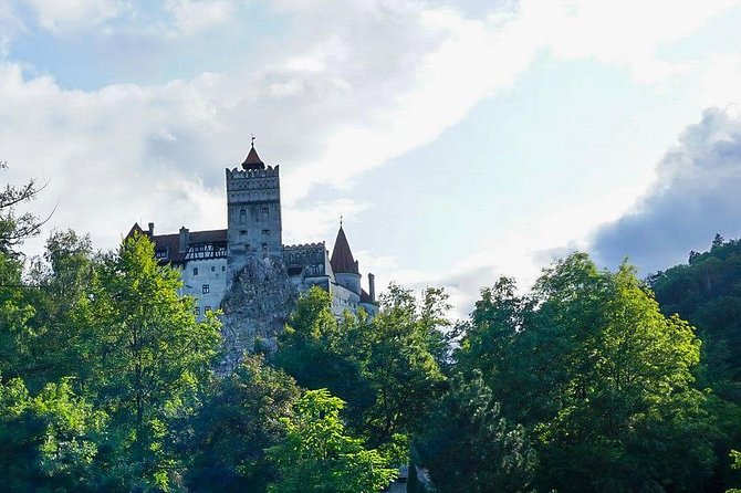 Libearty Bear Sanctuary and Dracula's Castle - Day Tour from Bucharest - Should you book this tour?