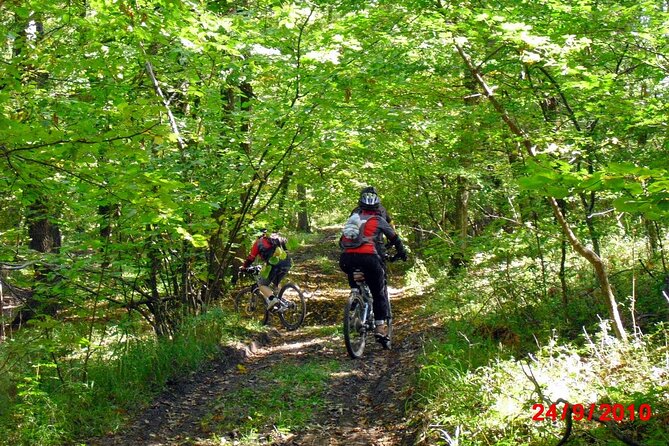 Mountain Bike Day Tour around Brasov - From Poiana Brasov into the forest
