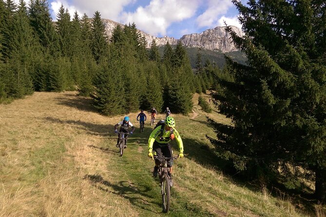 Mountain Bike Day Tour around Brasov - Is $51.14 a fair price?