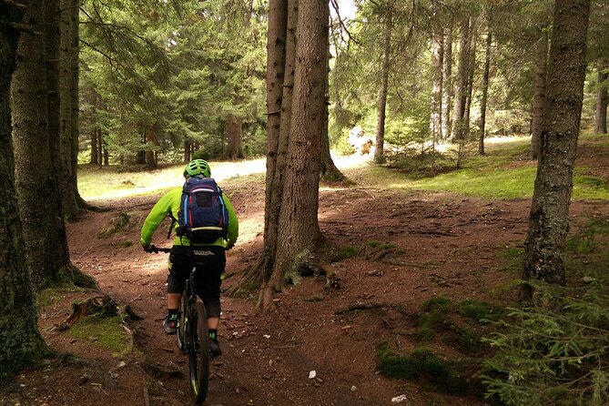 Mountain Bike Day Tour around Brasov - What makes the scenery worth the effort