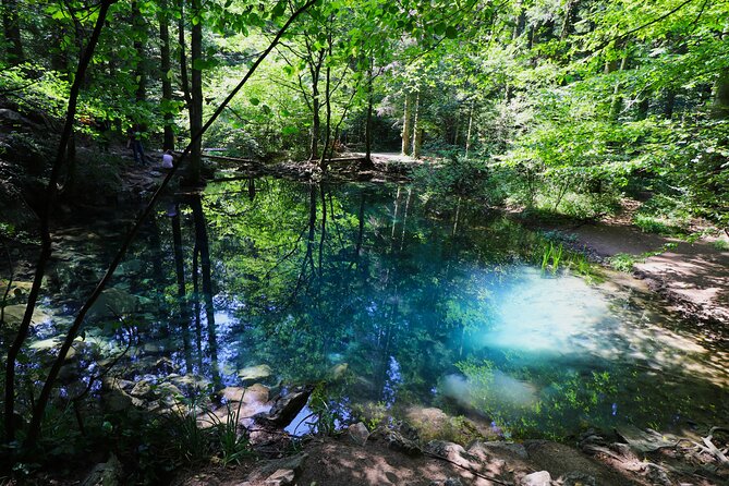 Nera Gorge National Park - Private Day Tour from Timisoara - Key points to know before you book