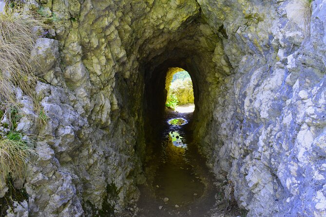 Nera Gorge National Park - Private Day Tour from Timisoara - Why Nera Gorge makes a worthwhile day trip