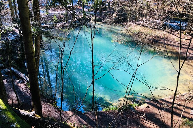 Nera Gorge National Park - Private Day Tour from Timisoara - La Vaioaga Waterfall after a 30-minute walk