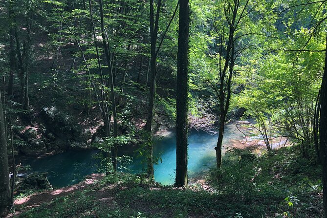 Nera Gorge National Park - Private Day Tour from Timisoara - Beușnița Waterfall and the importance of season