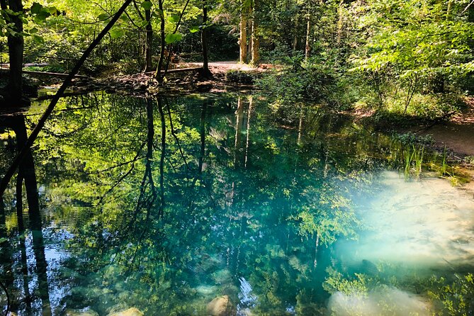 Nera Gorge National Park - Private Day Tour from Timisoara - Lunch before the return drive